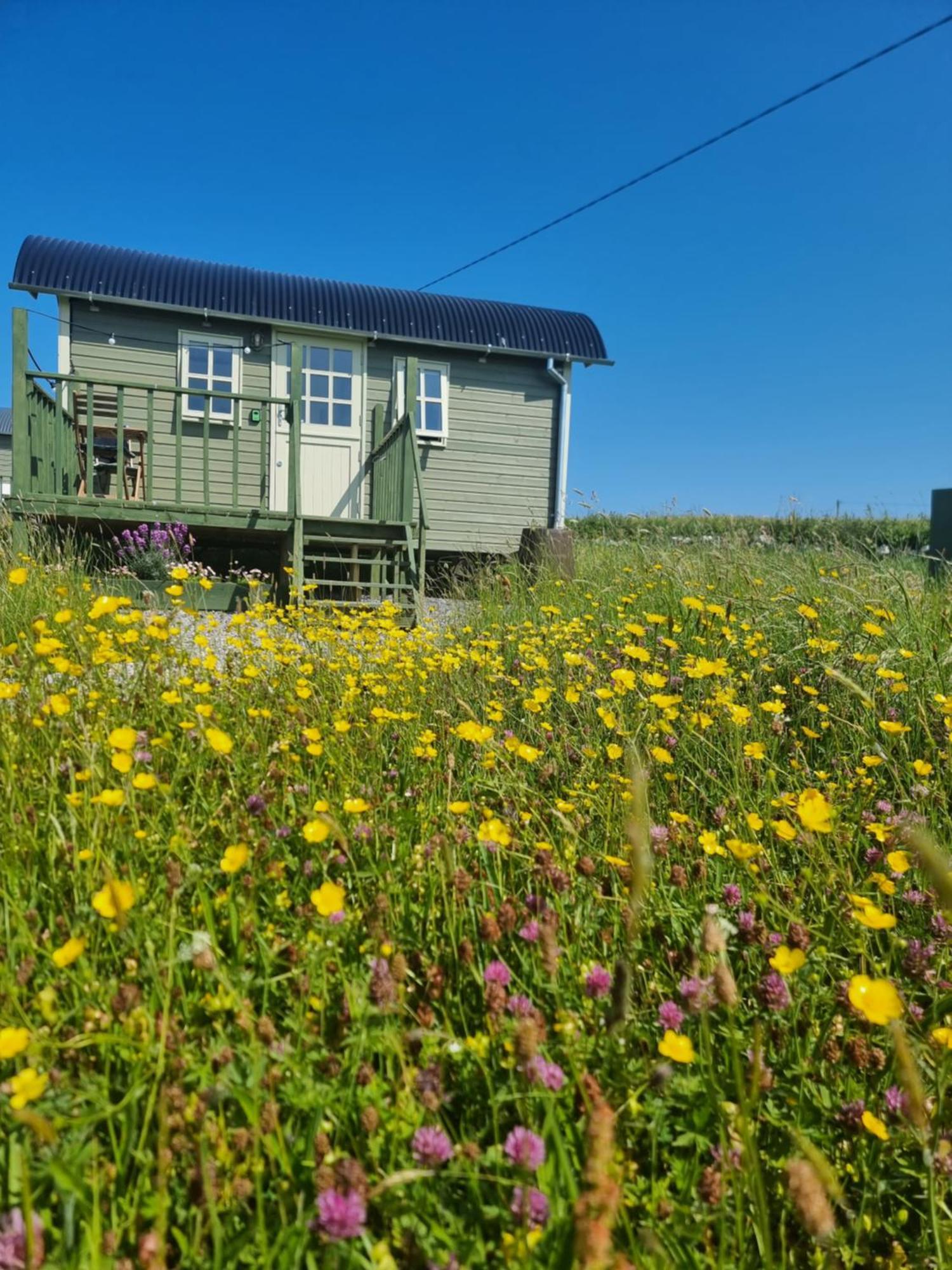 Wild Meadow Huts Villa ดูลิน ภายนอก รูปภาพ