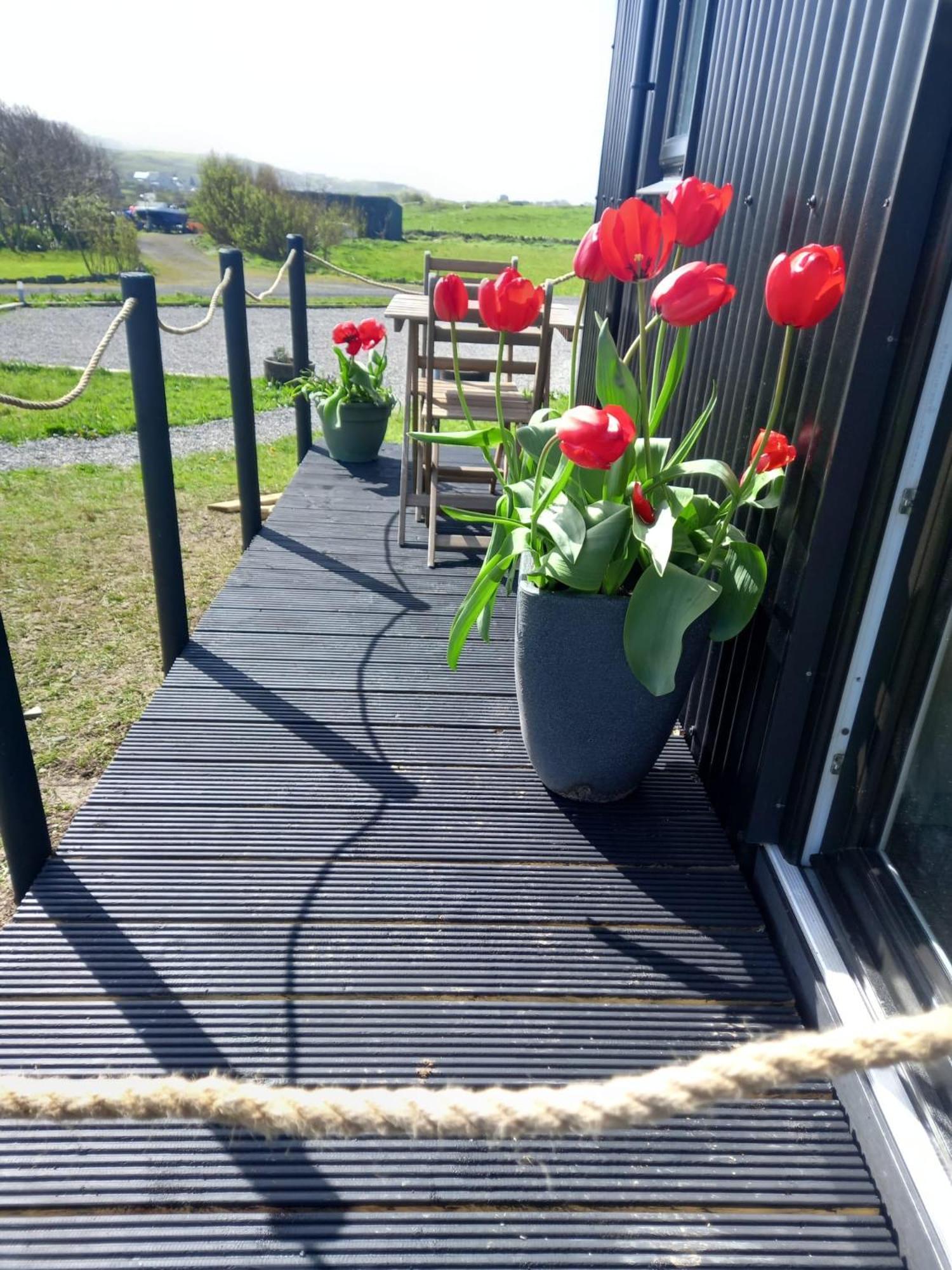 Wild Meadow Huts Villa ดูลิน ภายนอก รูปภาพ