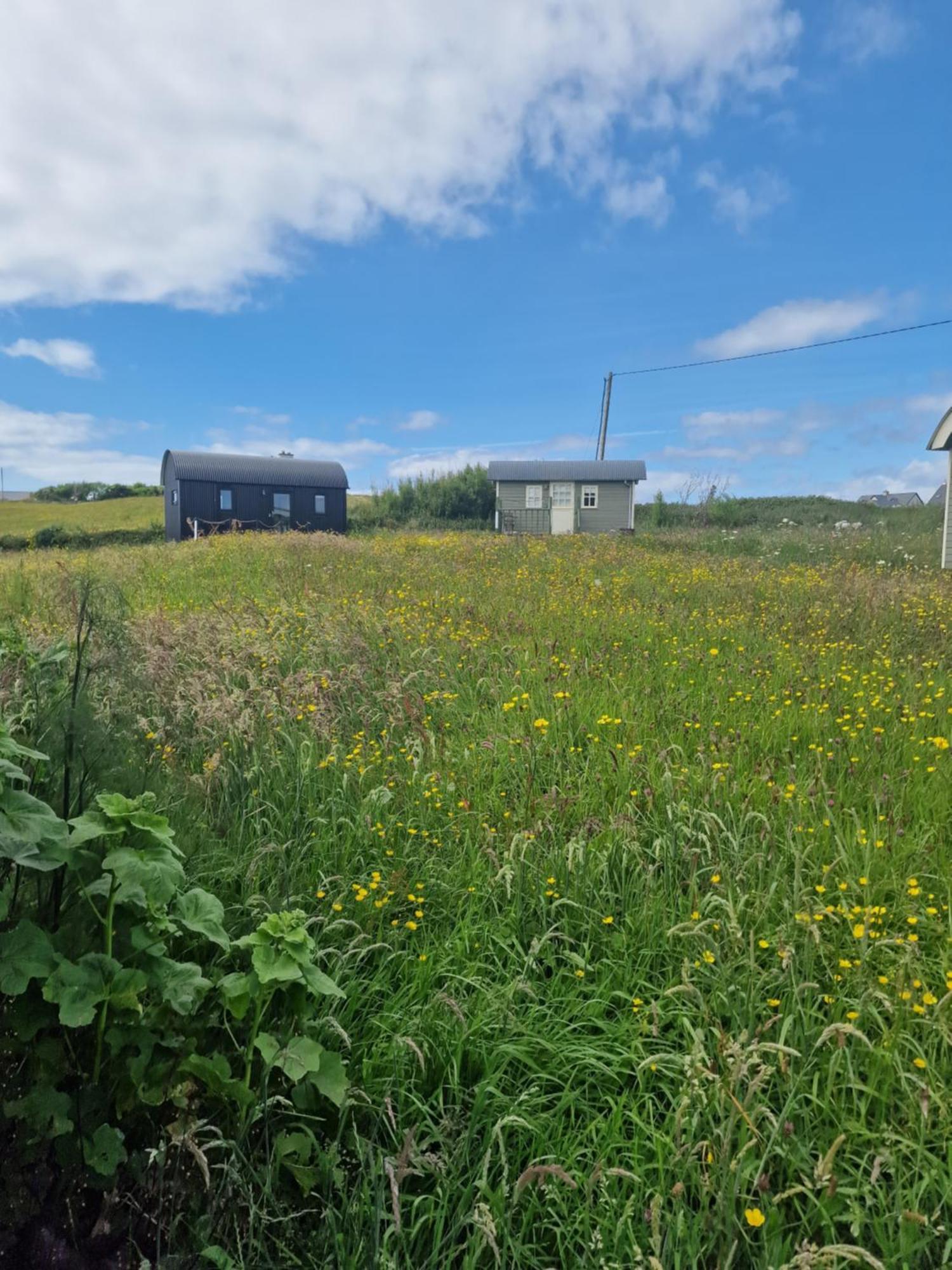 Wild Meadow Huts Villa ดูลิน ภายนอก รูปภาพ