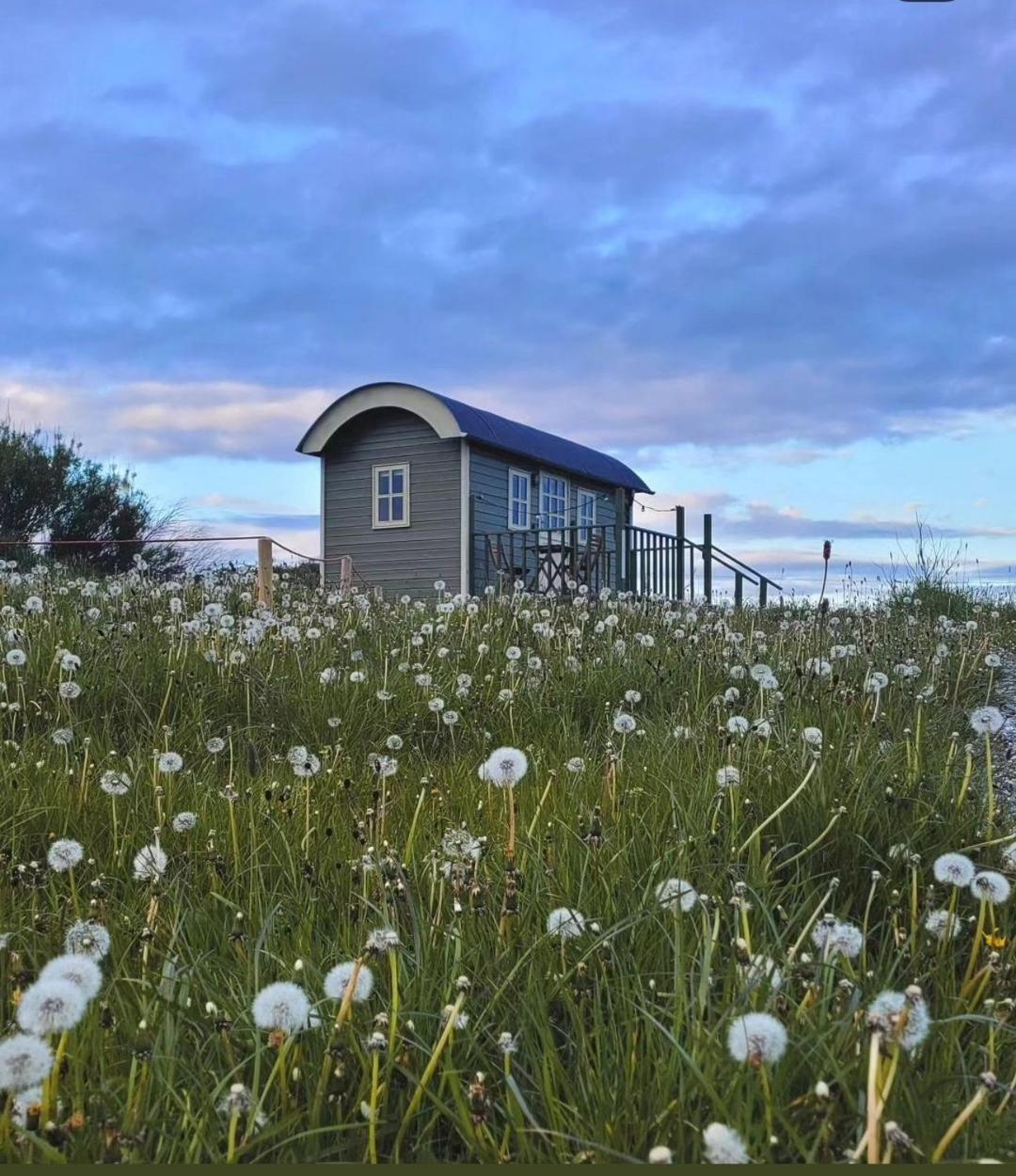 Wild Meadow Huts Villa ดูลิน ภายนอก รูปภาพ
