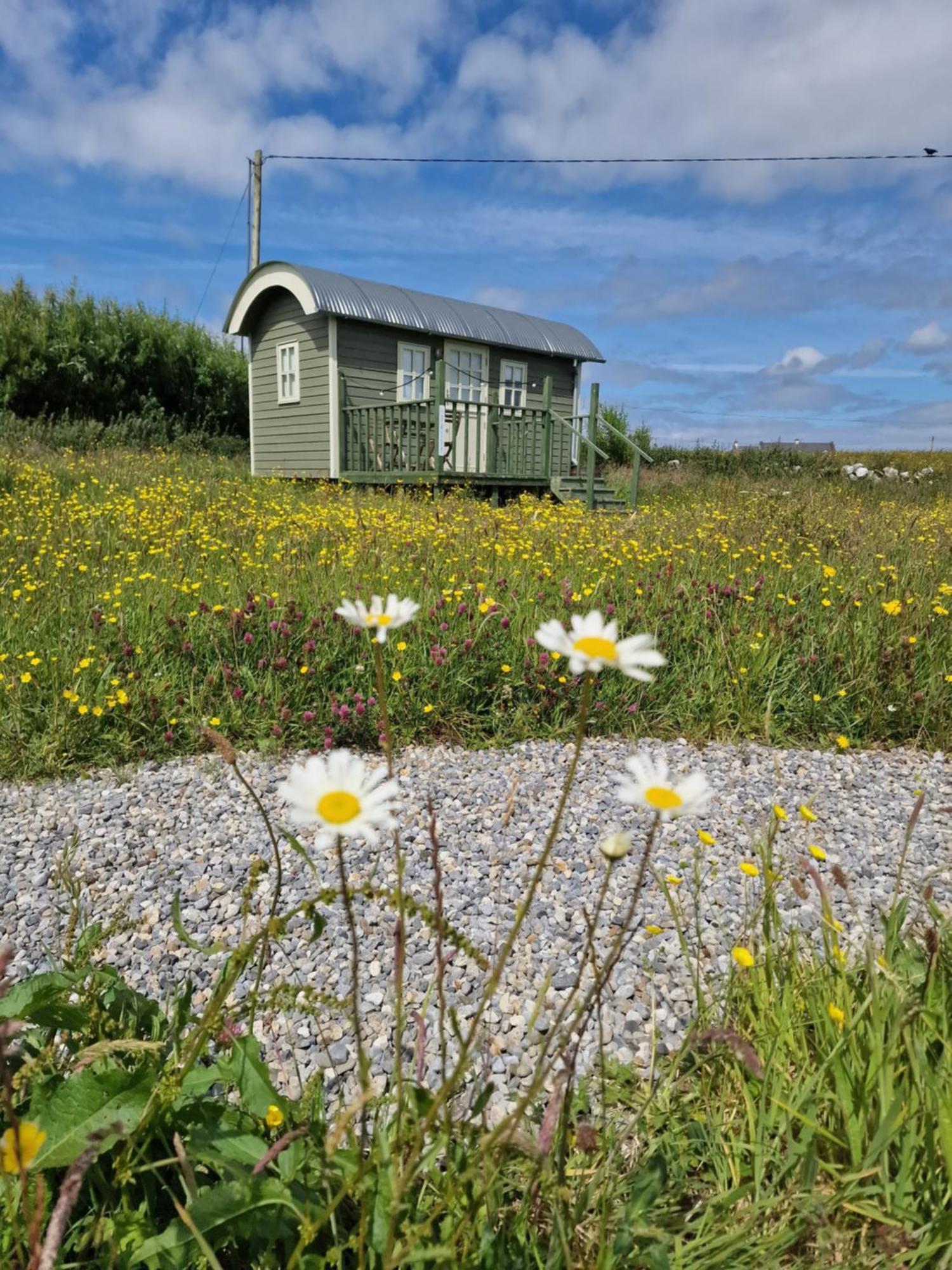 Wild Meadow Huts Villa ดูลิน ภายนอก รูปภาพ