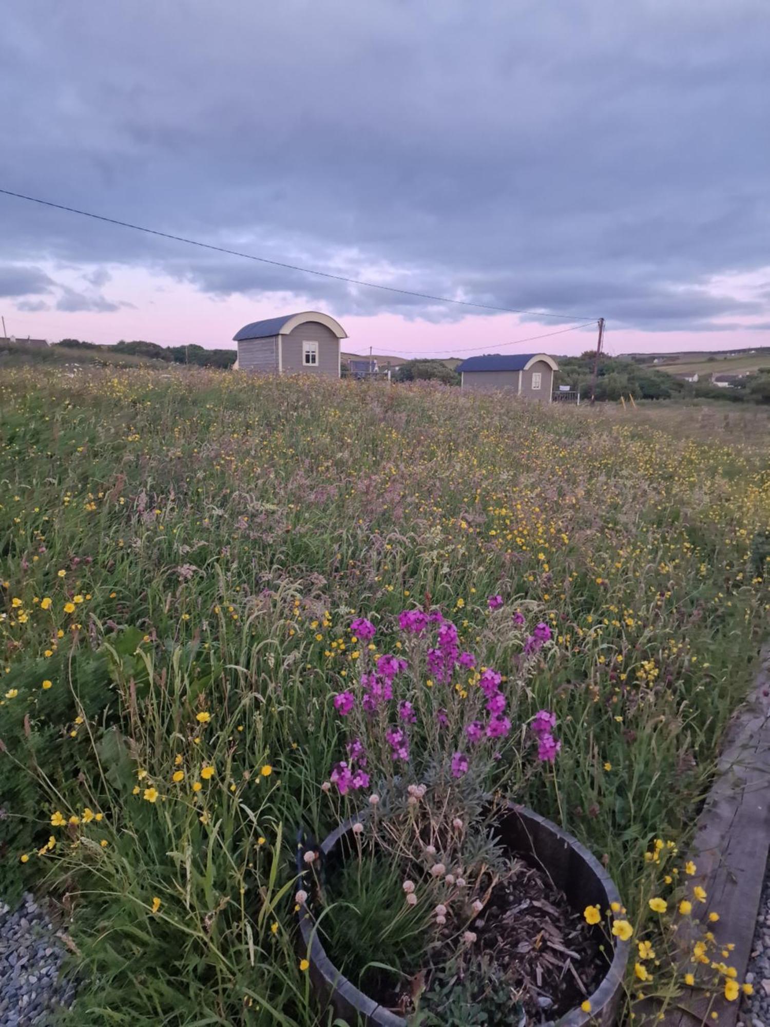 Wild Meadow Huts Villa ดูลิน ภายนอก รูปภาพ
