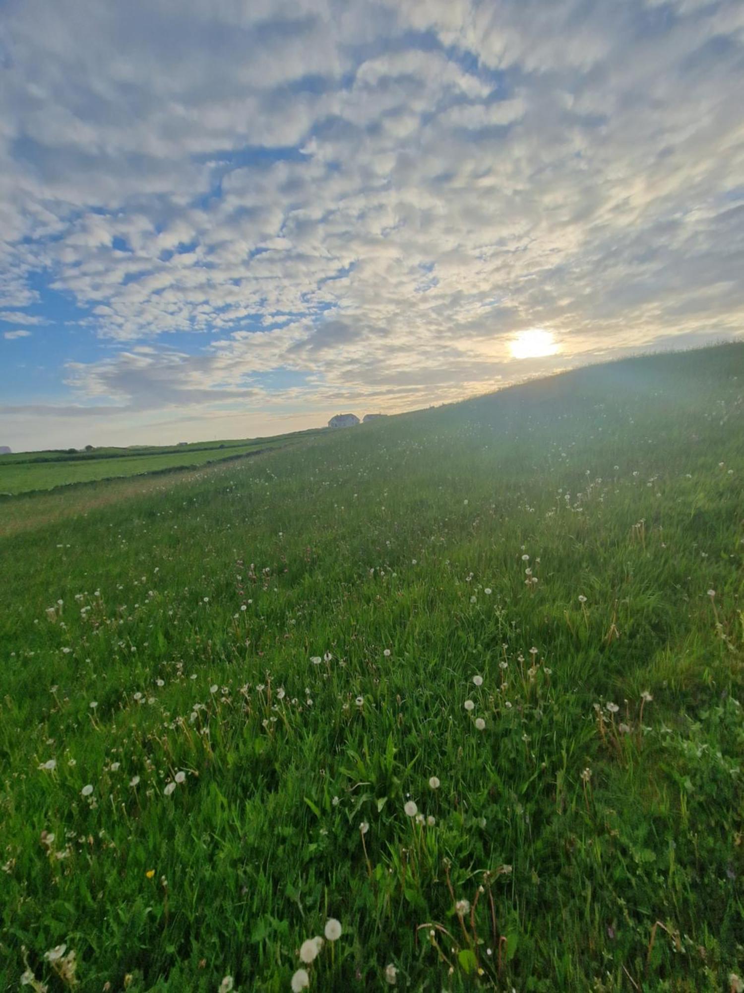 Wild Meadow Huts Villa ดูลิน ภายนอก รูปภาพ